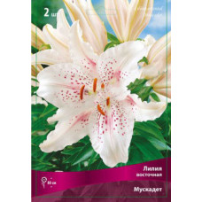 Лилия Мускадет