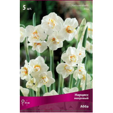 Нарцисс Абба