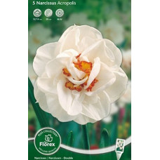 Нарцисс Акрополис