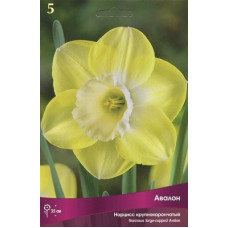 Нарцисс Авалон