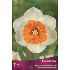 Нарцисс Белла Виста