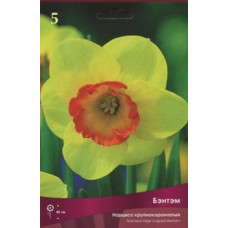 Нарцисс Бэнтэм