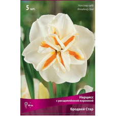 Нарцисс Бродвей Стар