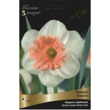 Нарцисс Чайниз Корал (трубчатый) (Серия Люкс)