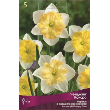 Нарцисс Ченджинг Колорс