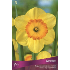 Нарцисс Делибес