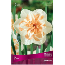 Нарцисс Делнашо (махровый)