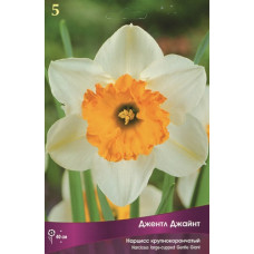 Нарцисс Джентл Джайнт