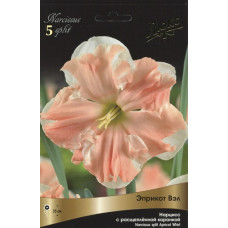 Нарцисс Эприкот Вэл 