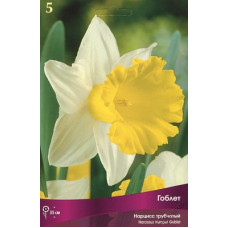 Нарцисс Гоблет (трубчатый)