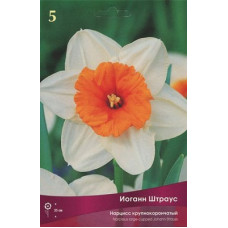 Нарцисс Иоганн Штраус