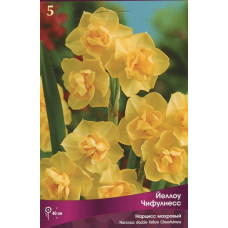 Нарцисс Йеллоу Чифулнесс