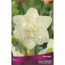 Нарцисс Калгари