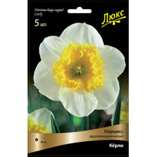 Нарцисс Кёрли