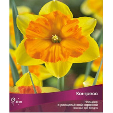 Нарцисс Конгресс