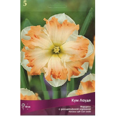 Нарцисс Кум Лауде