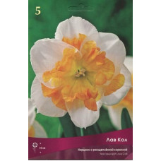 Нарцисс Лав Кол
