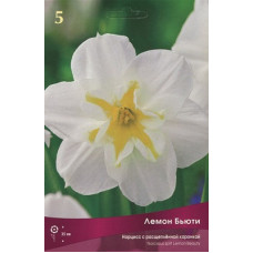 Нарцисс Лемон Бьюти  (с расщеплённой коронкой)