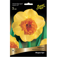Нарцисс Моден Арт
