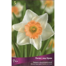 Нарцисс Пичес энд Крим