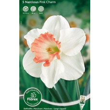 Нарцисс Пинк Шарм