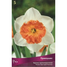 Нарцисс Прикоушес