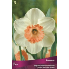 Нарцисс Романс