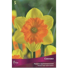 Нарцисс Санлавэ