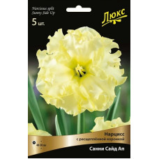 Нарцисс Санни Сайд Ап