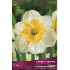 Нарцисс Сансет Серенад  (с расщеплённой коронкой)