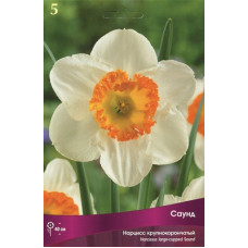 Нарцисс Саунд