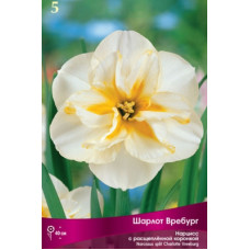 Нарцисс Шарлот Вребург