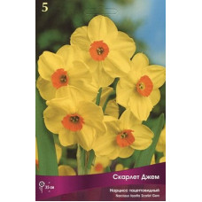 Нарцисс Скарлет Джем