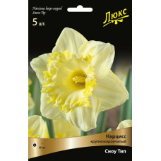 Нарцисс Сноу Тип (крупнокорончатый)