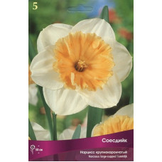 Нарцисс Соесдийк