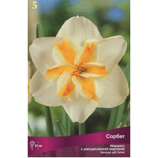 Нарцисс Сорбет (с расщепленной коронкой)