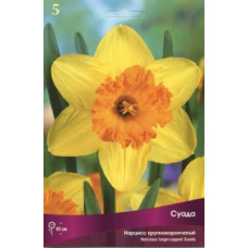 Нарцисс Суада