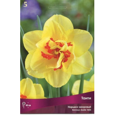 Нарцисс Таити (махровый)