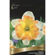 Нарцисс Таурус  (Серия Люкс)