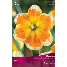 Нарцисс Тиритомба