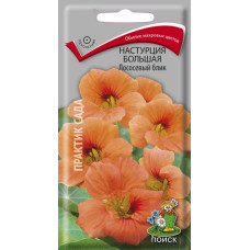 Настурция большая Лососевый блик
