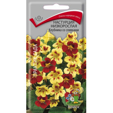 Настурция низкорослая Клубника со сливками