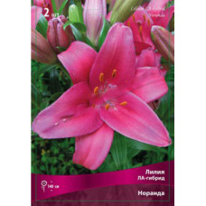 Лилия Норанда