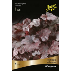Гейхера Обсидиан (гибридная)