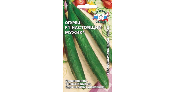 Огурец Настоящий мужик F1
