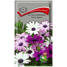 Остеоспермум Смесь окрасок