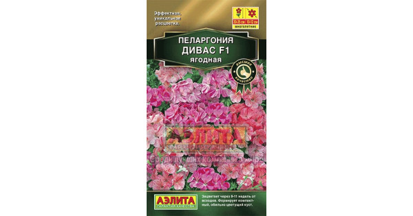 Дивас Планет Интернет Магазин