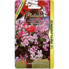 Пеларгония плющелистная ампельная Зоммертайм F1