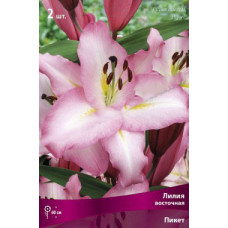 Лилия Пикет