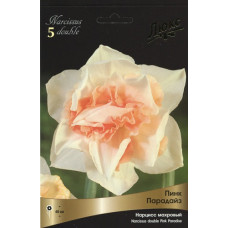 Нарцисс Пинк Парадайз (махровый) (Серия Люкс)